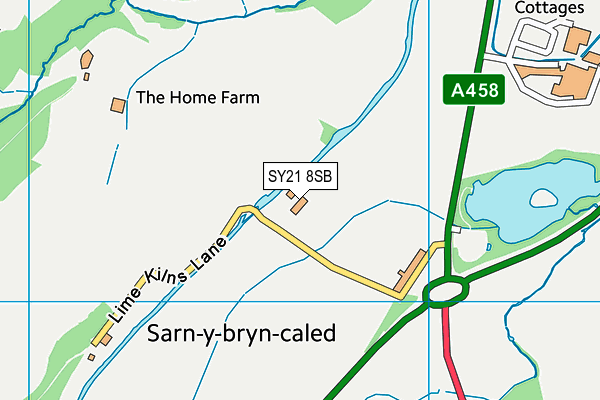SY21 8SB map - OS VectorMap District (Ordnance Survey) SY21 8SB map - OS VectorMap District (Ordnance Survey)