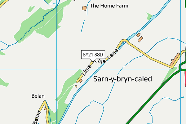 SY21 8SD map - OS VectorMap District (Ordnance Survey) SY21 8SD map - OS VectorMap District (Ordnance Survey)