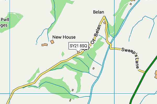 SY21 8SQ map - OS VectorMap District (Ordnance Survey) SY21 8SQ map - OS VectorMap District (Ordnance Survey)