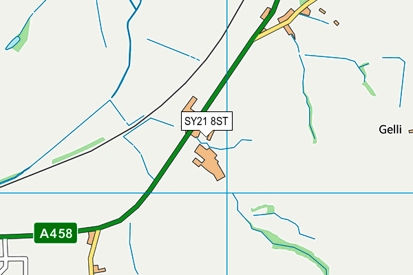 SY21 8ST map - OS VectorMap District (Ordnance Survey) SY21 8ST map - OS VectorMap District (Ordnance Survey)