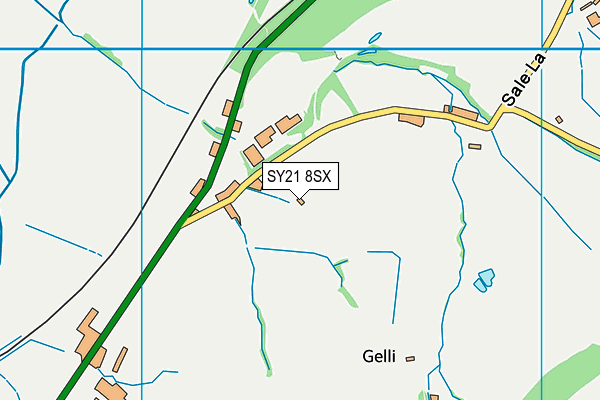 SY21 8SX map - OS VectorMap District (Ordnance Survey) SY21 8SX map - OS VectorMap District (Ordnance Survey)