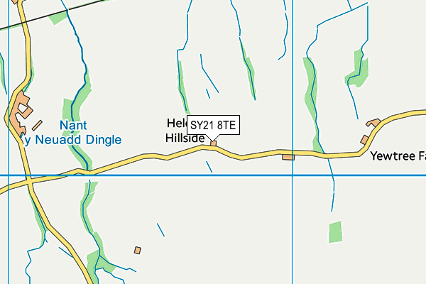 SY21 8TE map - OS VectorMap District (Ordnance Survey) SY21 8TE map - OS VectorMap District (Ordnance Survey)