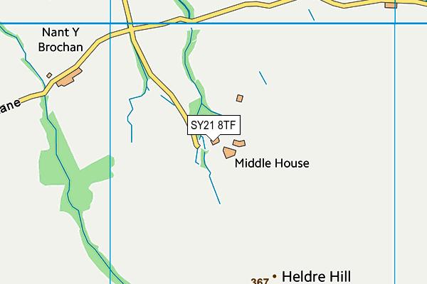 SY21 8TF map - OS VectorMap District (Ordnance Survey) SY21 8TF map - OS VectorMap District (Ordnance Survey)