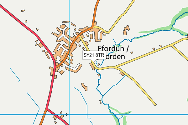 SY21 8TR map - OS VectorMap District (Ordnance Survey) SY21 8TR map - OS VectorMap District (Ordnance Survey)