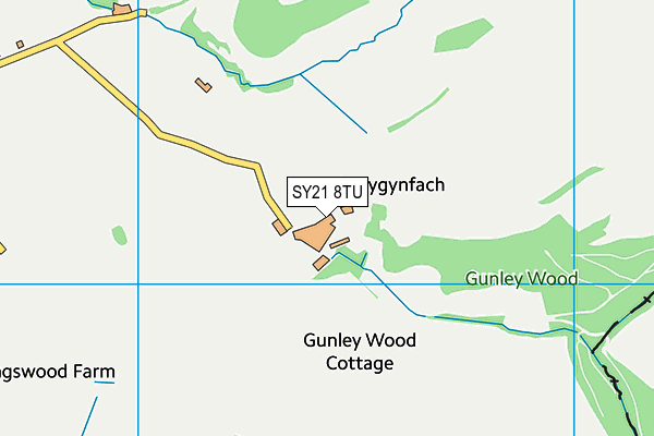 SY21 8TU map - OS VectorMap District (Ordnance Survey) SY21 8TU map - OS VectorMap District (Ordnance Survey)