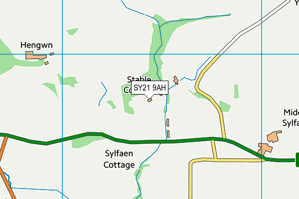 SY21 9AH map - OS VectorMap District (Ordnance Survey) SY21 9AH map - OS VectorMap District (Ordnance Survey)