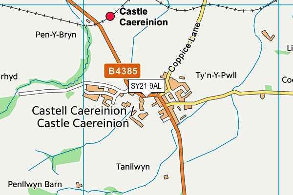 SY21 9AL map - OS VectorMap District (Ordnance Survey) SY21 9AL map - OS VectorMap District (Ordnance Survey)
