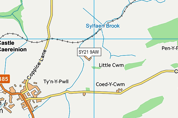 SY21 9AW map - OS VectorMap District (Ordnance Survey) SY21 9AW map - OS VectorMap District (Ordnance Survey)