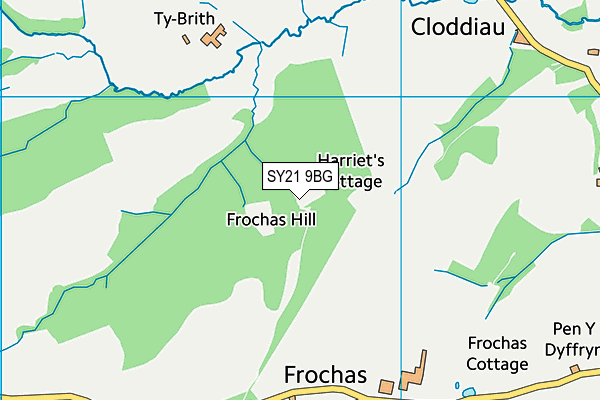 SY21 9BG map - OS VectorMap District (Ordnance Survey)