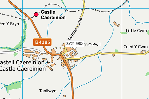 SY21 9BQ map - OS VectorMap District (Ordnance Survey) SY21 9BQ map - OS VectorMap District (Ordnance Survey)