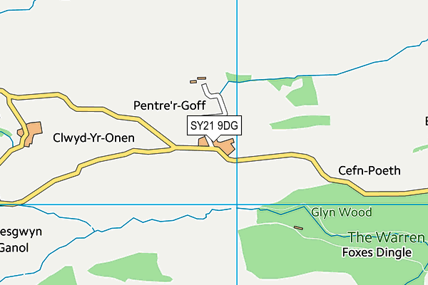 SY21 9DG map - OS VectorMap District (Ordnance Survey)