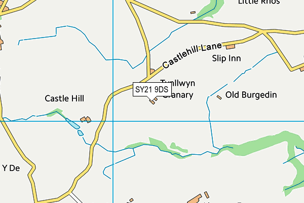 SY21 9DS map - OS VectorMap District (Ordnance Survey) SY21 9DS map - OS VectorMap District (Ordnance Survey)