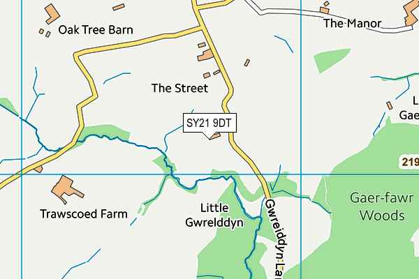 SY21 9DT map - OS VectorMap District (Ordnance Survey) SY21 9DT map - OS VectorMap District (Ordnance Survey)