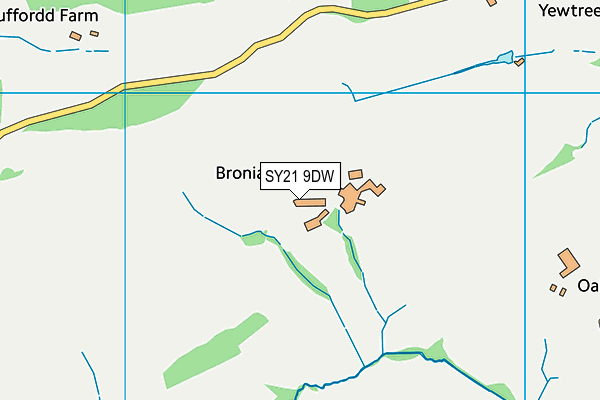 SY21 9DW map - OS VectorMap District (Ordnance Survey) SY21 9DW map - OS VectorMap District (Ordnance Survey)