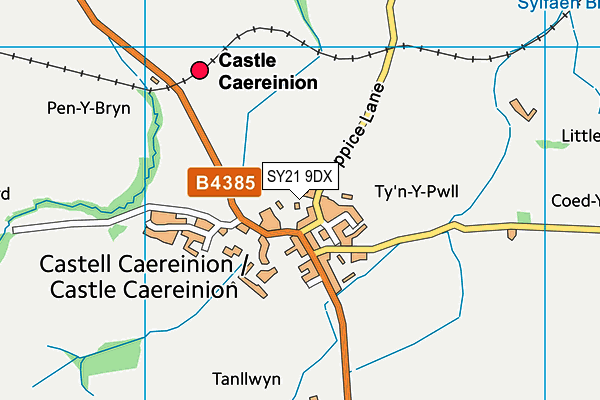 SY21 9DX map - OS VectorMap District (Ordnance Survey) SY21 9DX map - OS VectorMap District (Ordnance Survey)