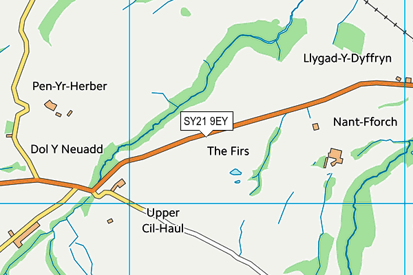 SY21 9EY map - OS VectorMap District (Ordnance Survey) SY21 9EY map - OS VectorMap District (Ordnance Survey)