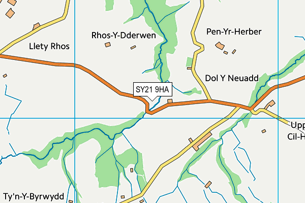 SY21 9HA map - OS VectorMap District (Ordnance Survey) SY21 9HA map - OS VectorMap District (Ordnance Survey)