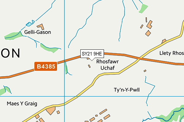SY21 9HE map - OS VectorMap District (Ordnance Survey) SY21 9HE map - OS VectorMap District (Ordnance Survey)