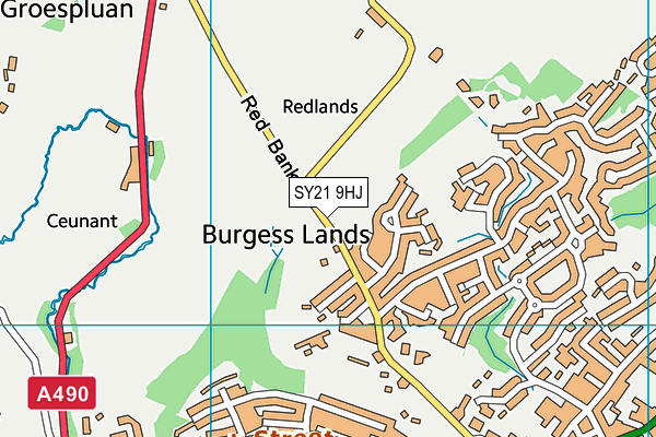 SY21 9HJ map - OS VectorMap District (Ordnance Survey) SY21 9HJ map - OS VectorMap District (Ordnance Survey)