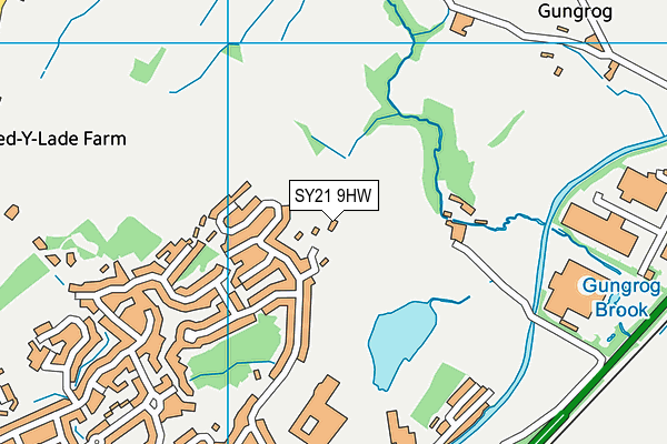 SY21 9HW map - OS VectorMap District (Ordnance Survey) SY21 9HW map - OS VectorMap District (Ordnance Survey)