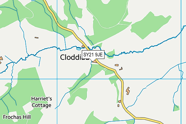 SY21 9JE map - OS VectorMap District (Ordnance Survey) SY21 9JE map - OS VectorMap District (Ordnance Survey)