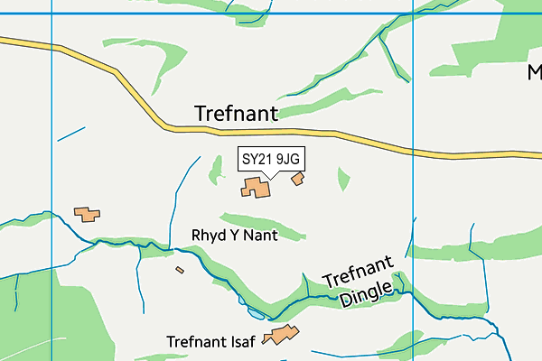 SY21 9JG map - OS VectorMap District (Ordnance Survey) SY21 9JG map - OS VectorMap District (Ordnance Survey)