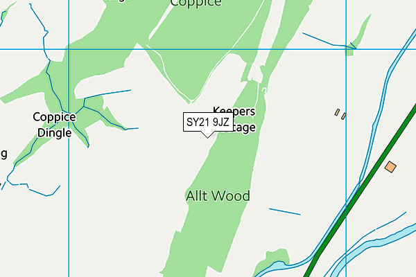 SY21 9JZ map - OS VectorMap District (Ordnance Survey) SY21 9JZ map - OS VectorMap District (Ordnance Survey)