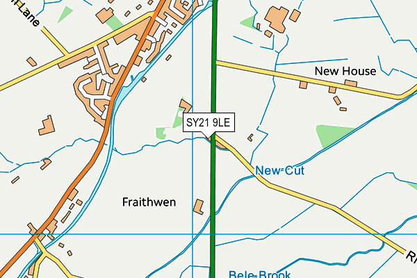 SY21 9LE map - OS VectorMap District (Ordnance Survey) SY21 9LE map - OS VectorMap District (Ordnance Survey)