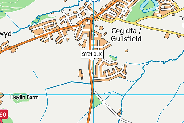 SY21 9LX map - OS VectorMap District (Ordnance Survey) SY21 9LX map - OS VectorMap District (Ordnance Survey)
