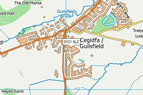 SY21 9LZ map - OS VectorMap District (Ordnance Survey)