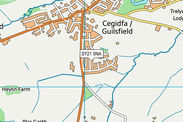 SY21 9NA map - OS VectorMap District (Ordnance Survey) SY21 9NA map - OS VectorMap District (Ordnance Survey)