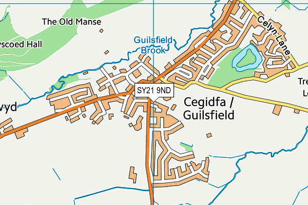 SY21 9ND map - OS VectorMap District (Ordnance Survey) SY21 9ND map - OS VectorMap District (Ordnance Survey)