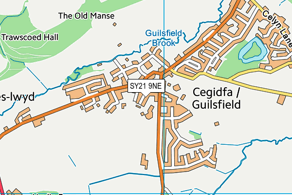 SY21 9NE map - OS VectorMap District (Ordnance Survey) SY21 9NE map - OS VectorMap District (Ordnance Survey)