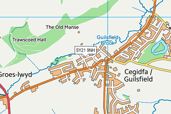 SY21 9NH map - OS VectorMap District (Ordnance Survey) SY21 9NH map - OS VectorMap District (Ordnance Survey)