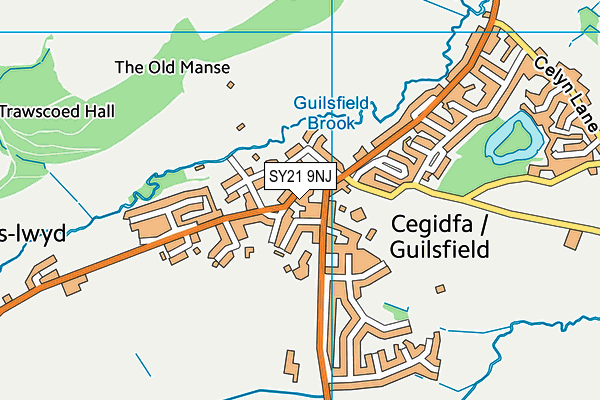 SY21 9NJ map - OS VectorMap District (Ordnance Survey) SY21 9NJ map - OS VectorMap District (Ordnance Survey)