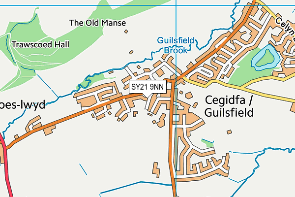 SY21 9NN map - OS VectorMap District (Ordnance Survey) SY21 9NN map - OS VectorMap District (Ordnance Survey)