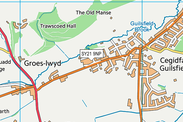 SY21 9NP map - OS VectorMap District (Ordnance Survey) SY21 9NP map - OS VectorMap District (Ordnance Survey)