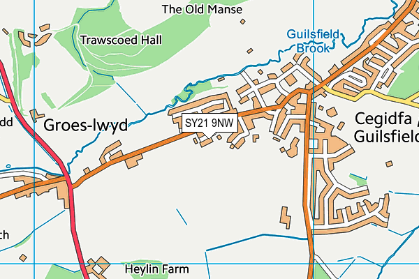 SY21 9NW map - OS VectorMap District (Ordnance Survey)