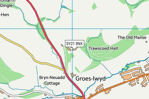 SY21 9NX map - OS VectorMap District (Ordnance Survey) SY21 9NX map - OS VectorMap District (Ordnance Survey)