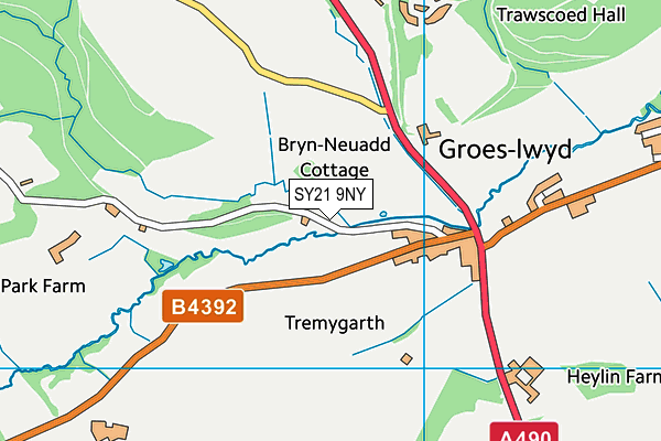 SY21 9NY map - OS VectorMap District (Ordnance Survey) SY21 9NY map - OS VectorMap District (Ordnance Survey)