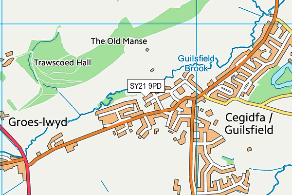 SY21 9PD map - OS VectorMap District (Ordnance Survey) SY21 9PD map - OS VectorMap District (Ordnance Survey)