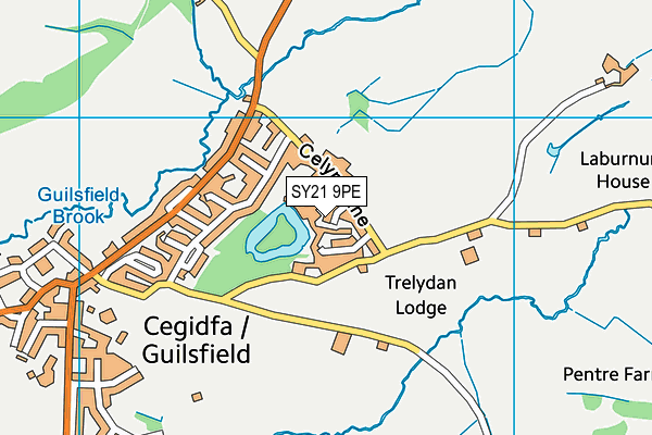 SY21 9PE map - OS VectorMap District (Ordnance Survey) SY21 9PE map - OS VectorMap District (Ordnance Survey)