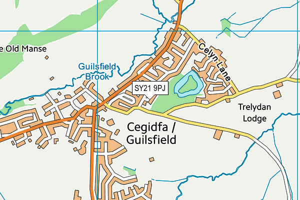 SY21 9PJ map - OS VectorMap District (Ordnance Survey) SY21 9PJ map - OS VectorMap District (Ordnance Survey)
