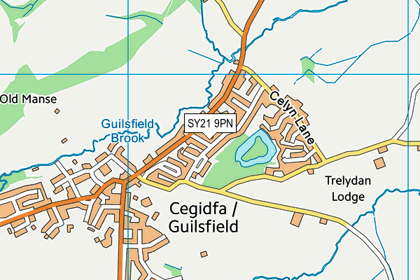SY21 9PN map - OS VectorMap District (Ordnance Survey) SY21 9PN map - OS VectorMap District (Ordnance Survey)