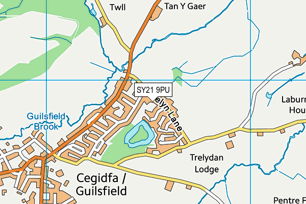 SY21 9PU map - OS VectorMap District (Ordnance Survey) SY21 9PU map - OS VectorMap District (Ordnance Survey)