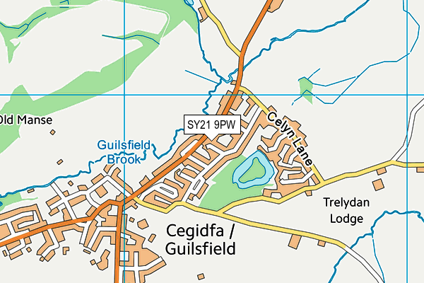 SY21 9PW map - OS VectorMap District (Ordnance Survey) SY21 9PW map - OS VectorMap District (Ordnance Survey)