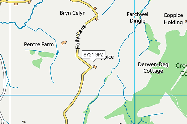 SY21 9PZ map - OS VectorMap District (Ordnance Survey)