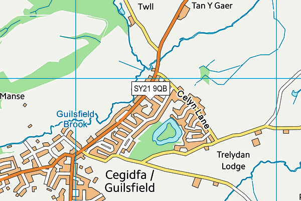 SY21 9QB map - OS VectorMap District (Ordnance Survey)