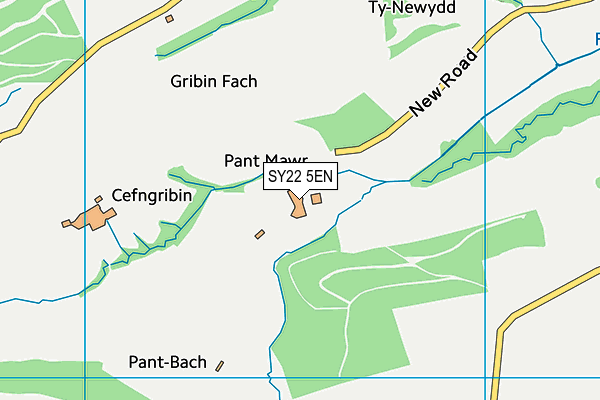SY22 5EN map - OS VectorMap District (Ordnance Survey) SY22 5EN map - OS VectorMap District (Ordnance Survey)