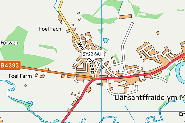 SY22 6AH map - OS VectorMap District (Ordnance Survey) SY22 6AH map - OS VectorMap District (Ordnance Survey)